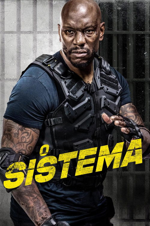 Assistir O Sistema