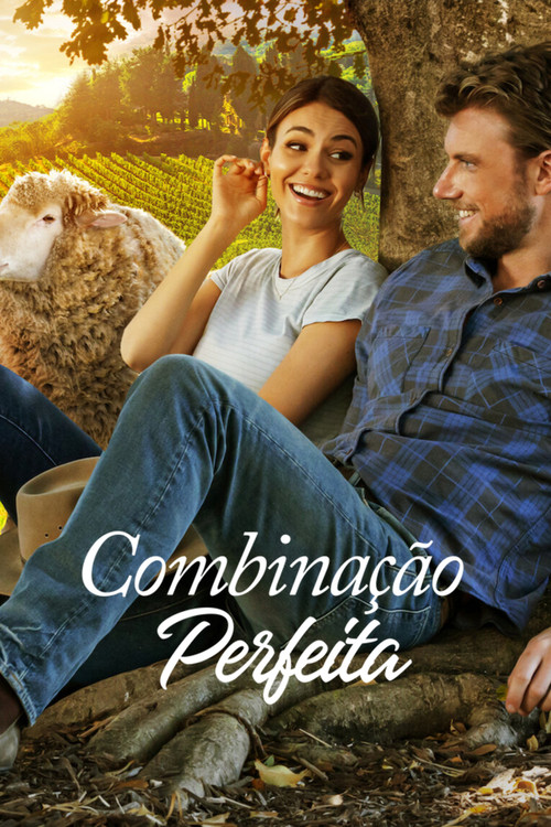 Assistir Combinação Perfeita