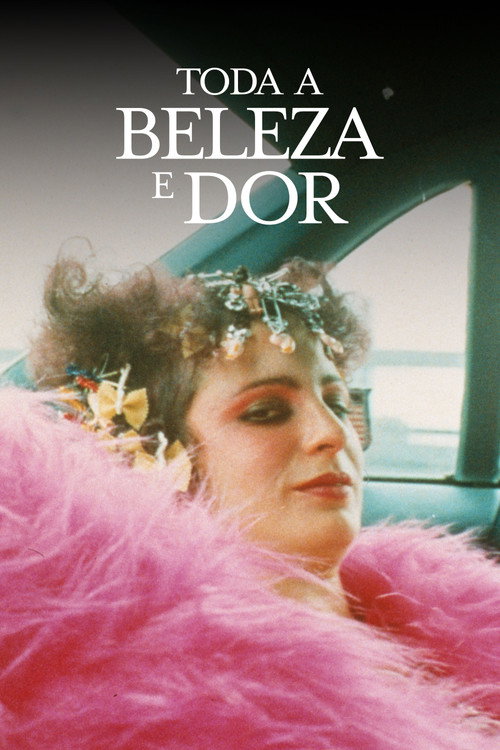 Assistir Toda a Beleza e Dor
