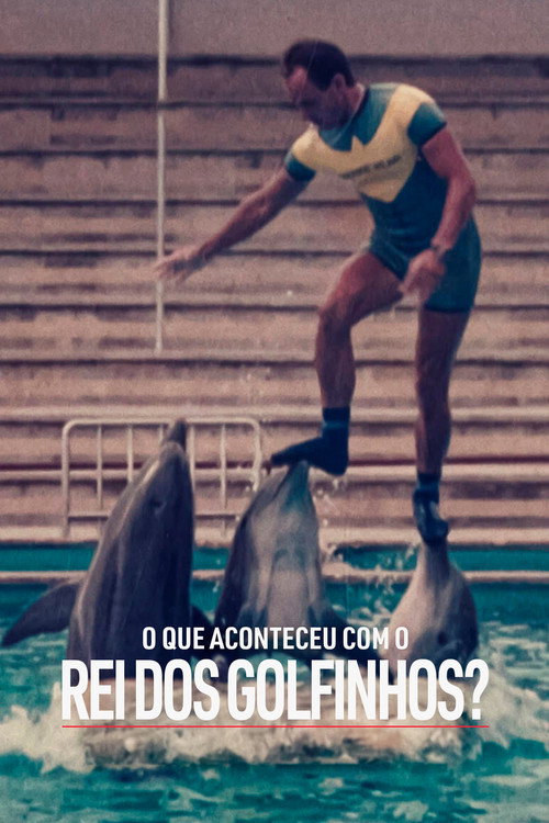 Assistir O Que Aconteceu com o Rei dos Golfinhos?