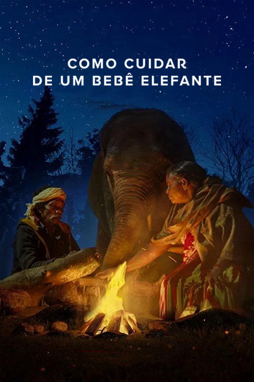 Assistir Como Cuidar de um Bebê Elefante