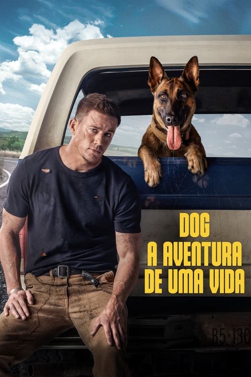 Assistir Dog - A Aventura de Uma Vida