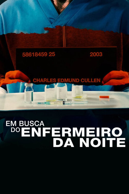 Assistir Em Busca do Enfermeiro da Noite