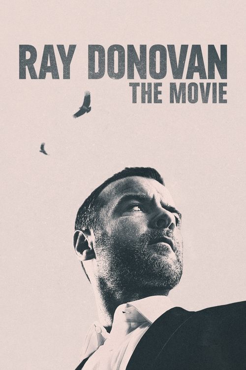 Assistir Ray Donovan: O Filme