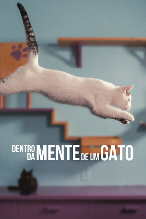 Assistir Dentro da Mente de um Gato