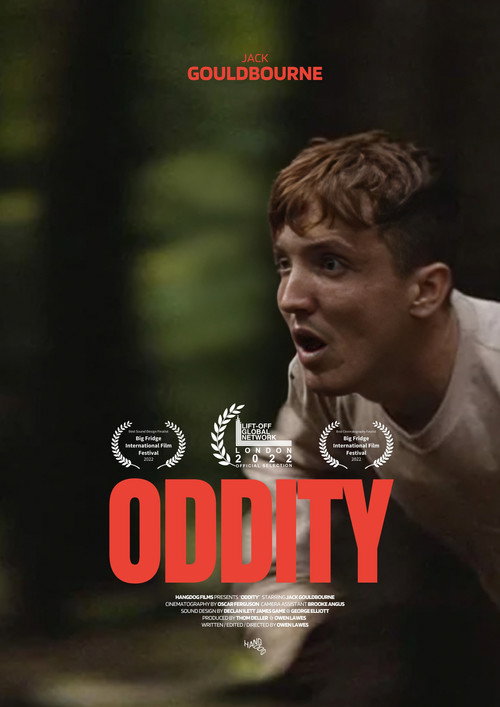 Assistir Oddity