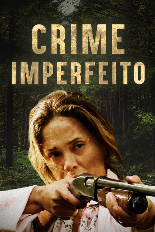 Assistir Crime Imperfeito