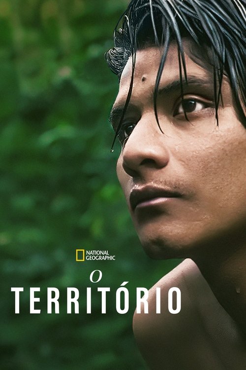 Assistir O Território