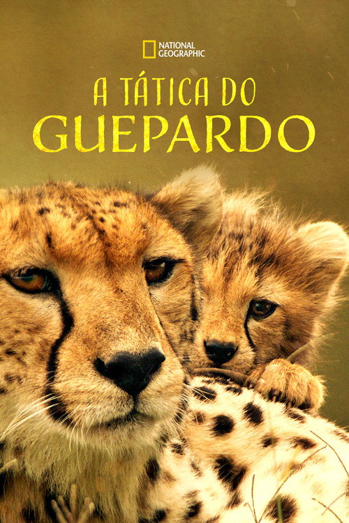 Assistir A Tática do Guepardo