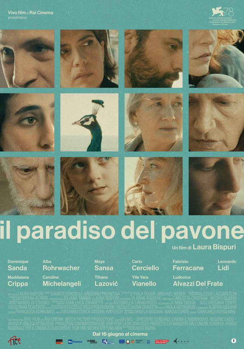 Assistir Il paradiso del pavone