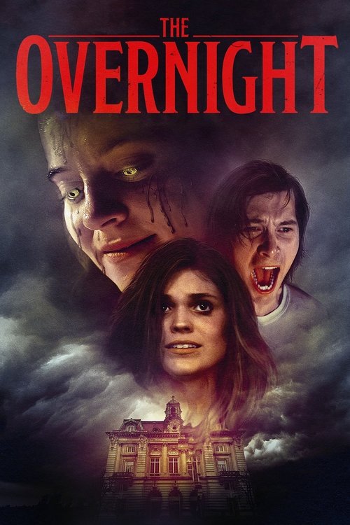 Assistir The Overnight