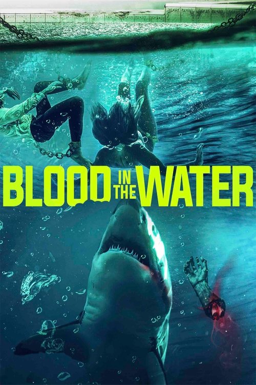 Assistir Blood in the Water
