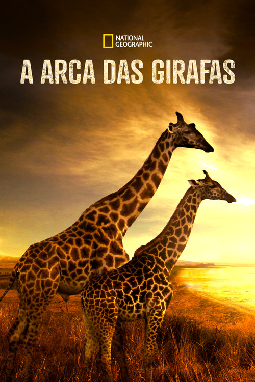 Assistir A Arca das Girafas