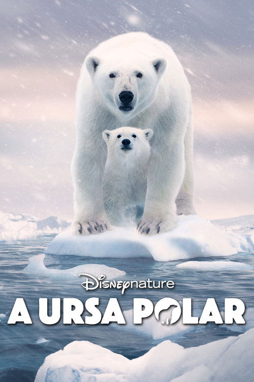 Assistir A Ursa Polar