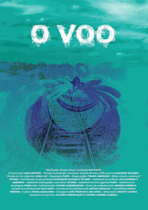 Assistir O Voo