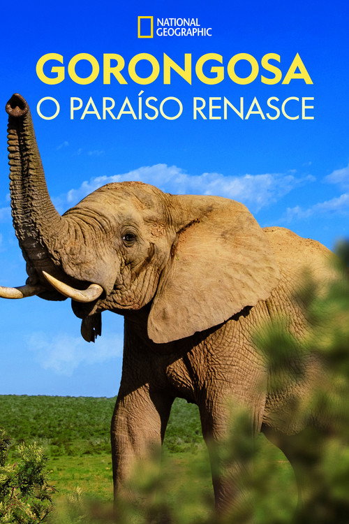 Assistir Gorongosa: O Paraíso Renasce