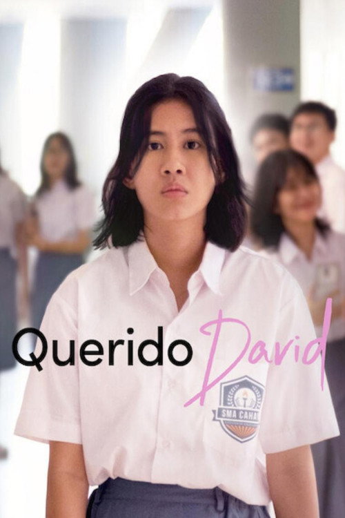 Assistir Querido David