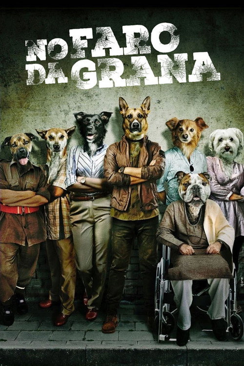 Assistir No Faro da Grana