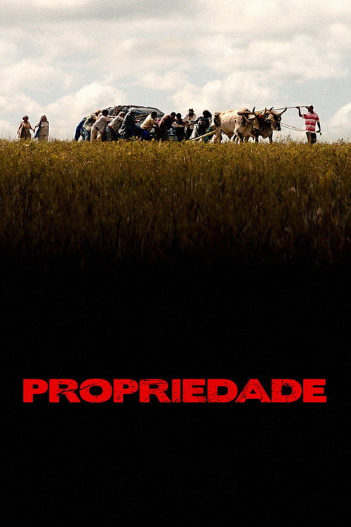 Assistir Propriedade