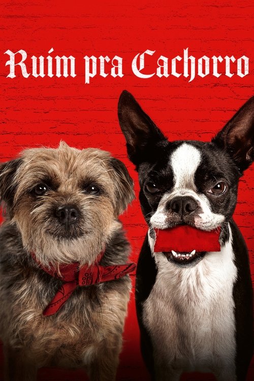 Assistir Ruim pra Cachorro