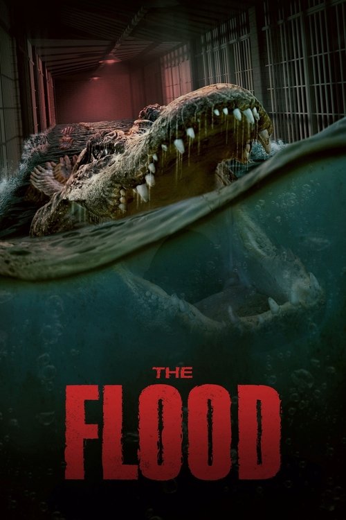 Assistir The Flood