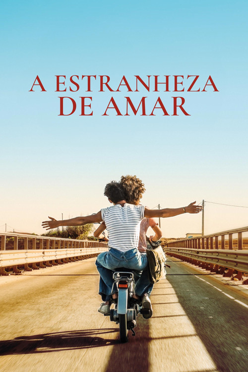 Assistir A Estranheza de Amar