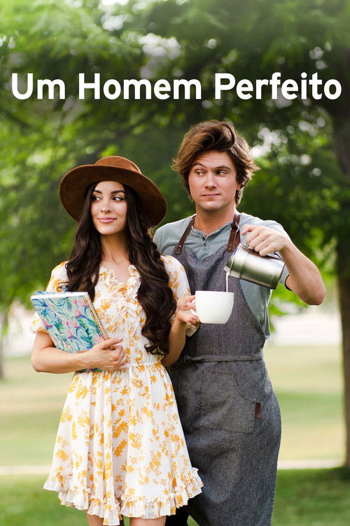 Assistir Um Homem Perfeito