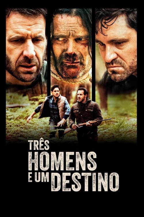 Assistir Três Homens e um Destino