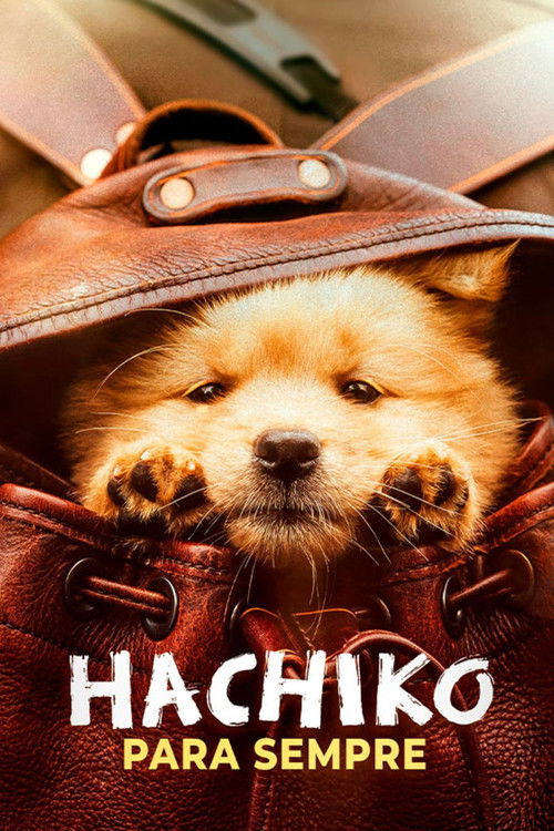 Assistir Hachiko Para Sempre