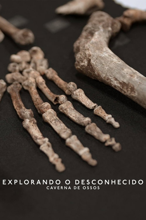 Assistir Explorando o Desconhecido: Caverna de Ossos