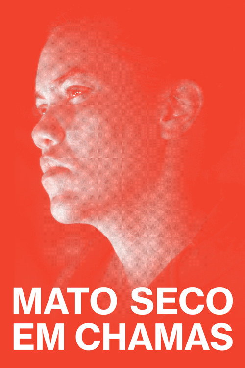 Assistir Mato Seco em Chamas