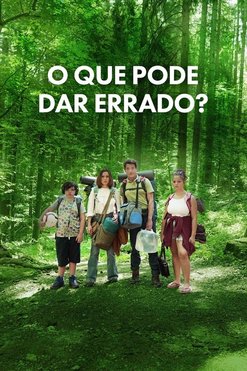 Assistir O Que Pode Dar Errado?