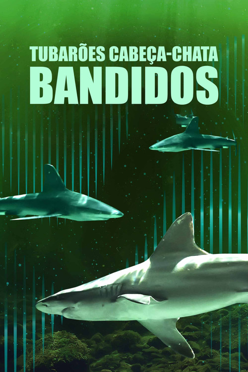Assistir Tubarões Cabeça-Chata Bandidos