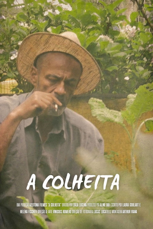 Assistir A Colheita