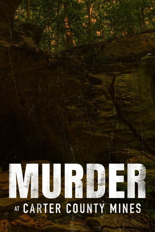Assistir Assassinato nas Minas Carter