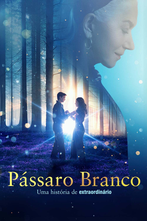 Assistir Pássaro Branco: Uma História de Extraordinário