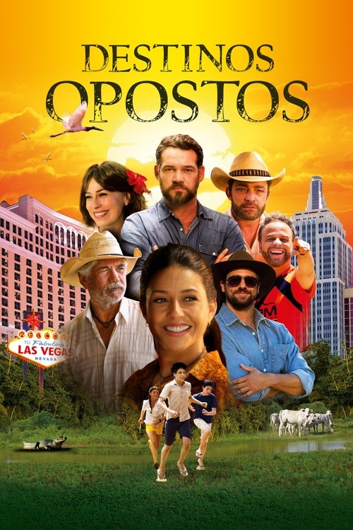 Assistir Destinos Opostos