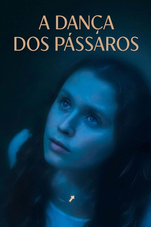 Assistir A Dança dos Pássaros