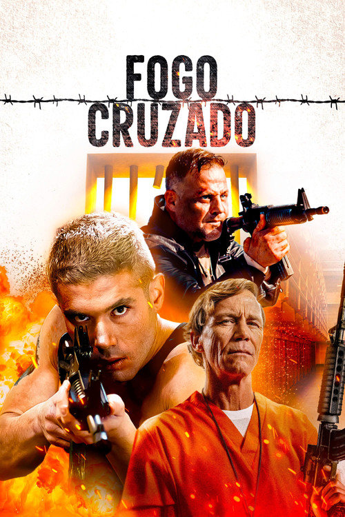 Assistir Fogo Cruzado