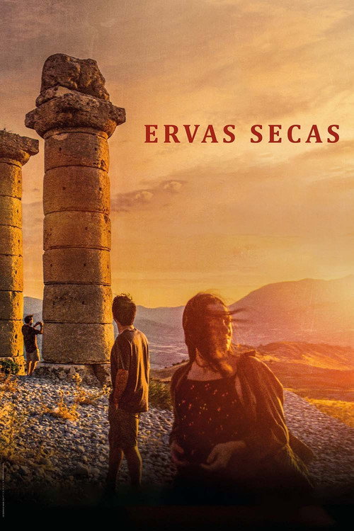 Assistir Ervas Secas