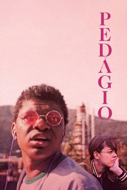 Assistir Pedágio
