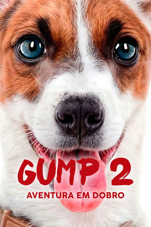Assistir Gump 2 - Aventura em Dobro
