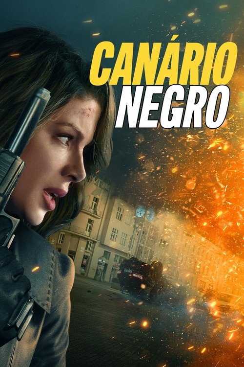 Assistir Canário Negro