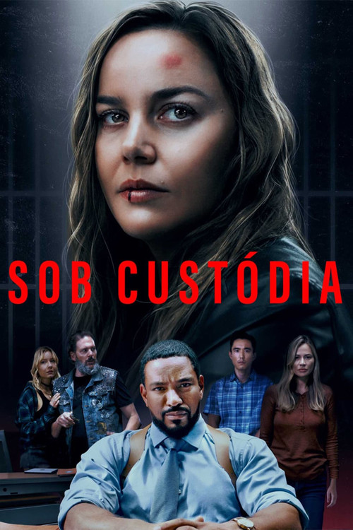 Assistir Sob Custódia