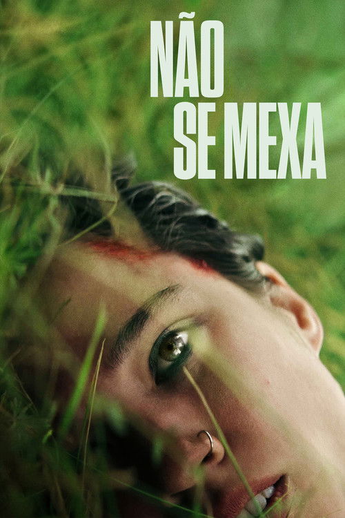 Assistir Não Se Mexa