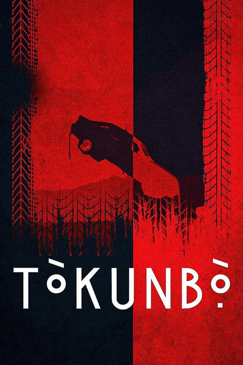 Assistir Tòkunbọ̀