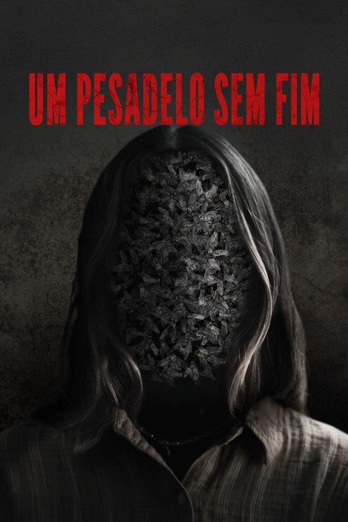 Assistir Um Pesadelo Sem Fim