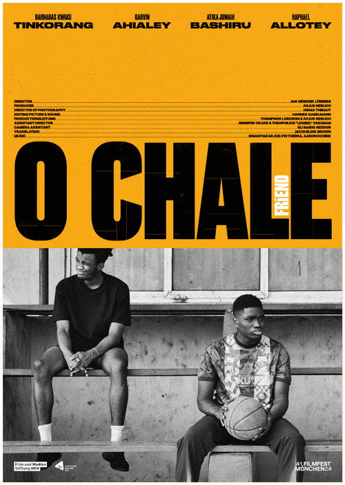 Assistir O Chale