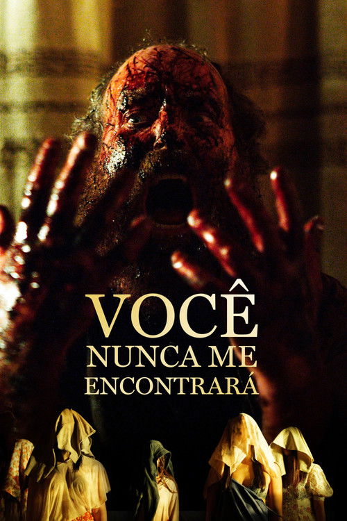 Assistir Você Nunca Me Encontrará