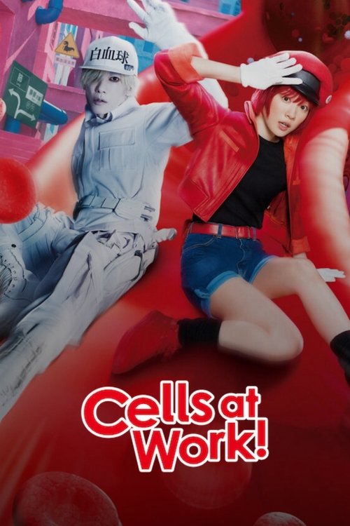 Assistir Cells at Work!